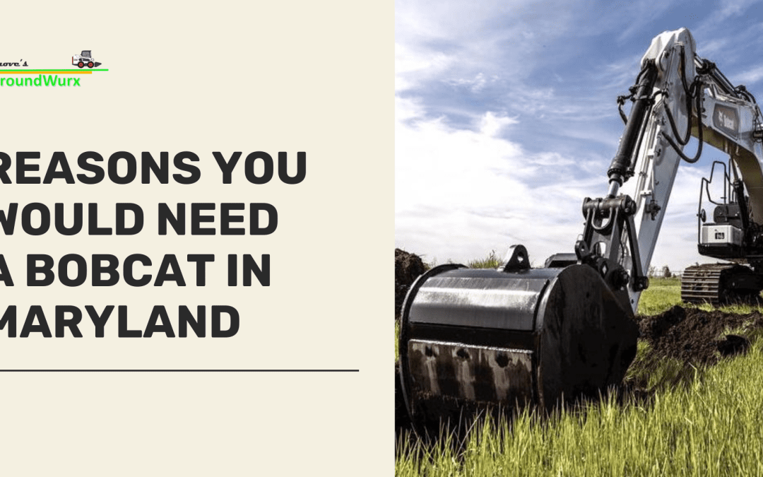 4 Reasons You Would Need a Bobcat in Maryland
