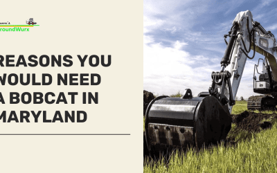 4 Reasons You Would Need a Bobcat in Maryland